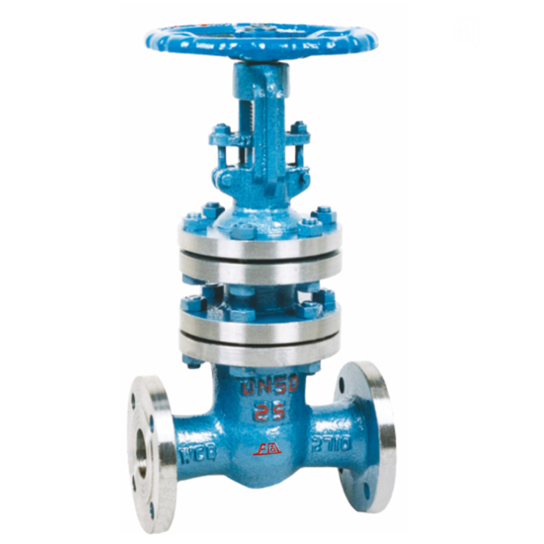 Bellows gate valve WZ41H-25