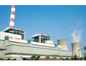 Shanghai Wujing Second Power Co., Ltd.